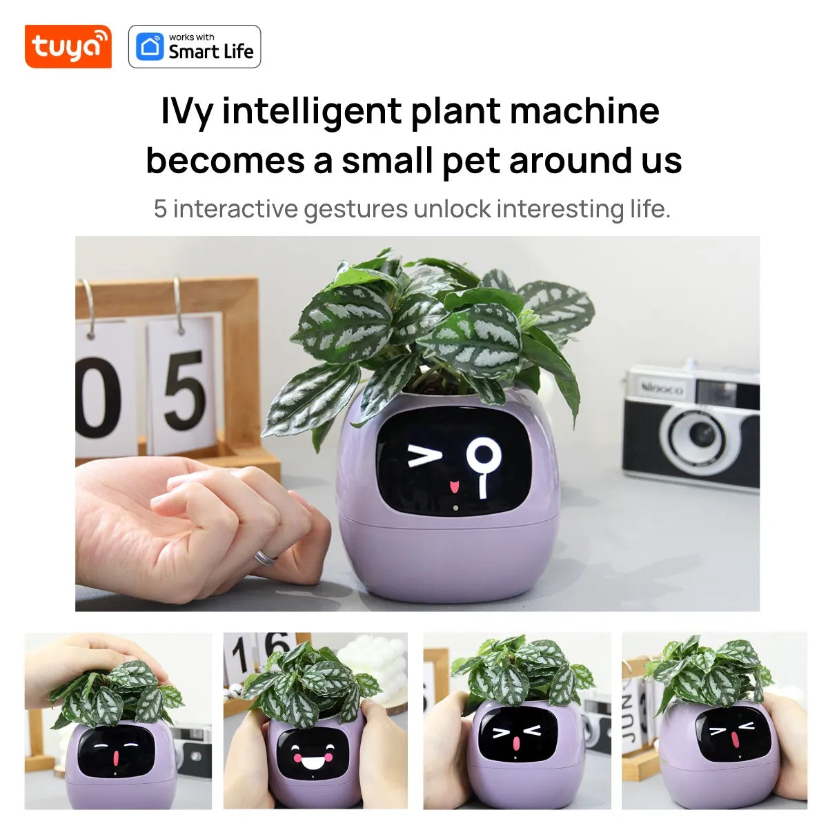 Yellow Tuya Ivy Smart Planter