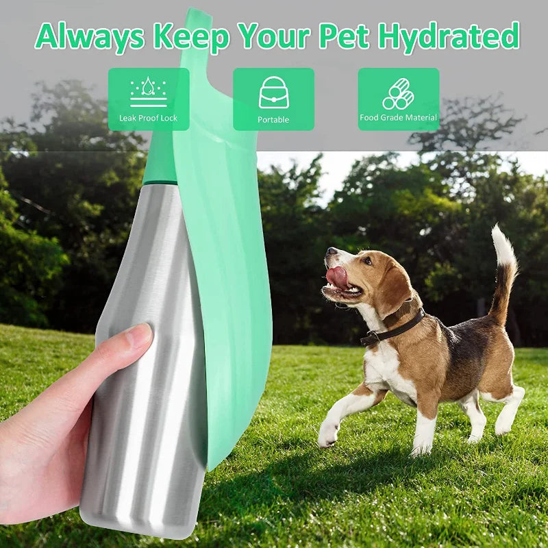 Dog Stainless Steel Water Bottle