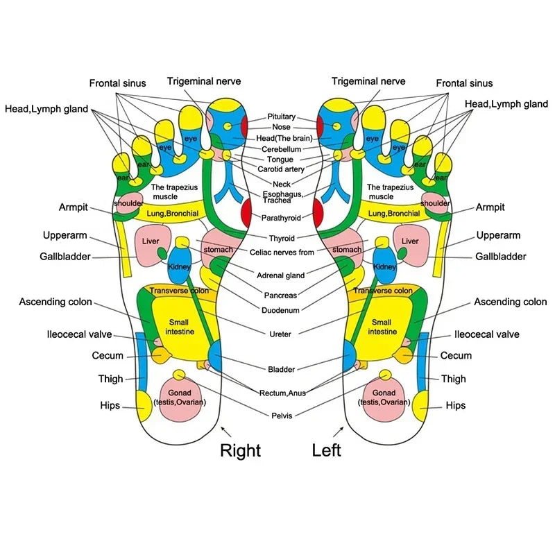 Wood Trigger Point Massage Gua Sha Tools
