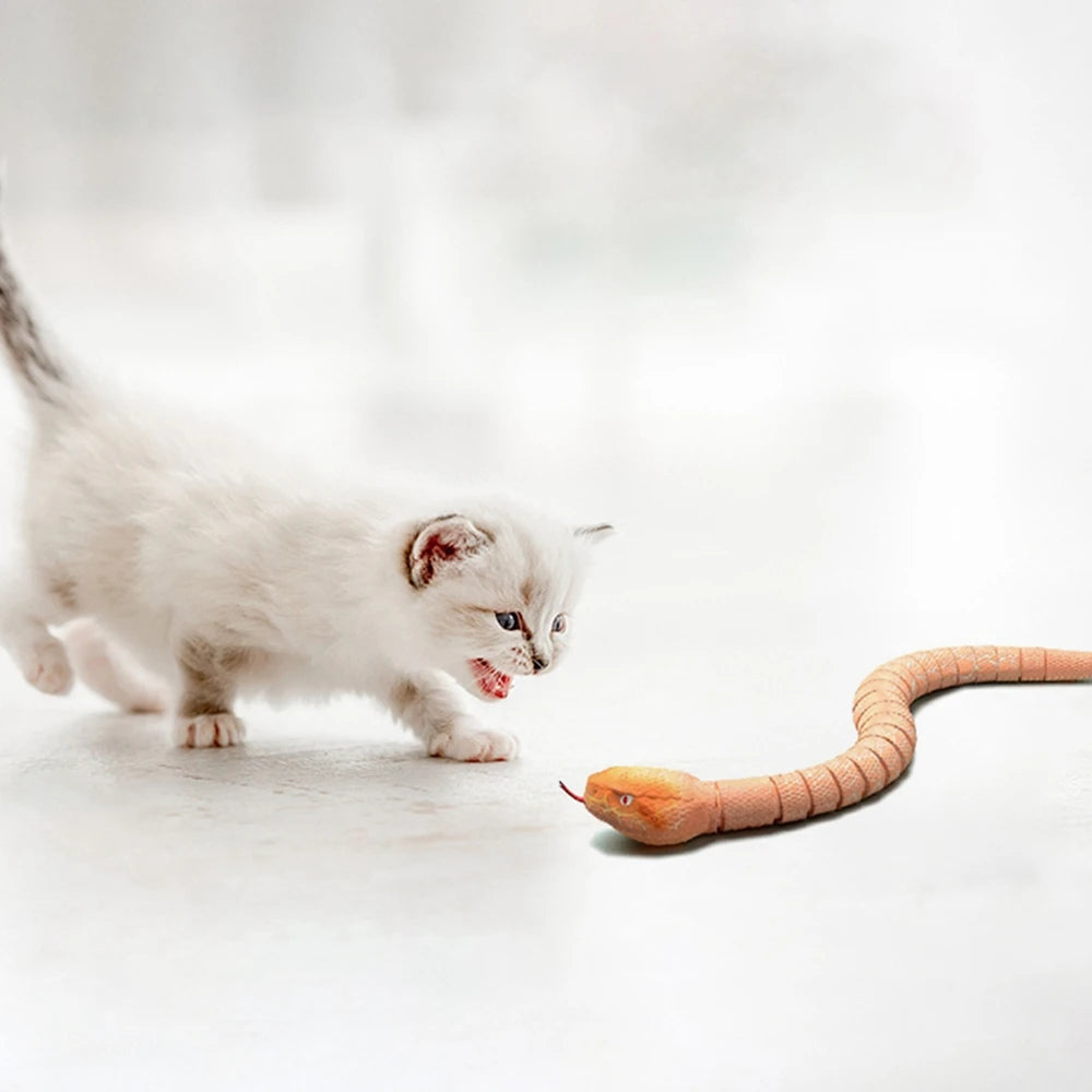 Electric Snake Toy