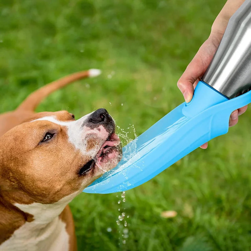 Dog Stainless Steel Water Bottle