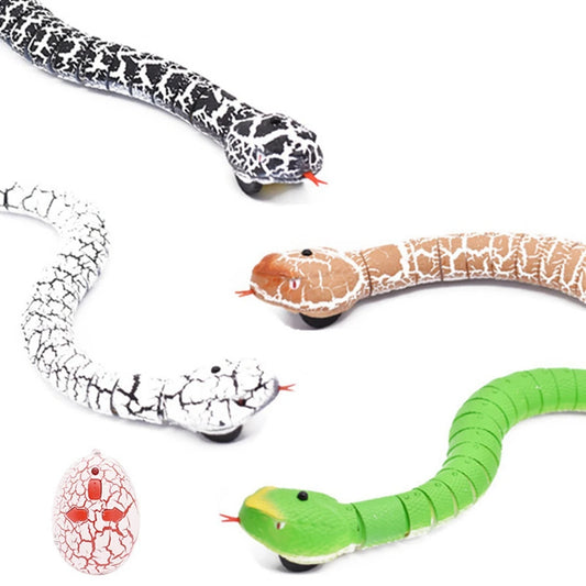 Electric Snake Toy