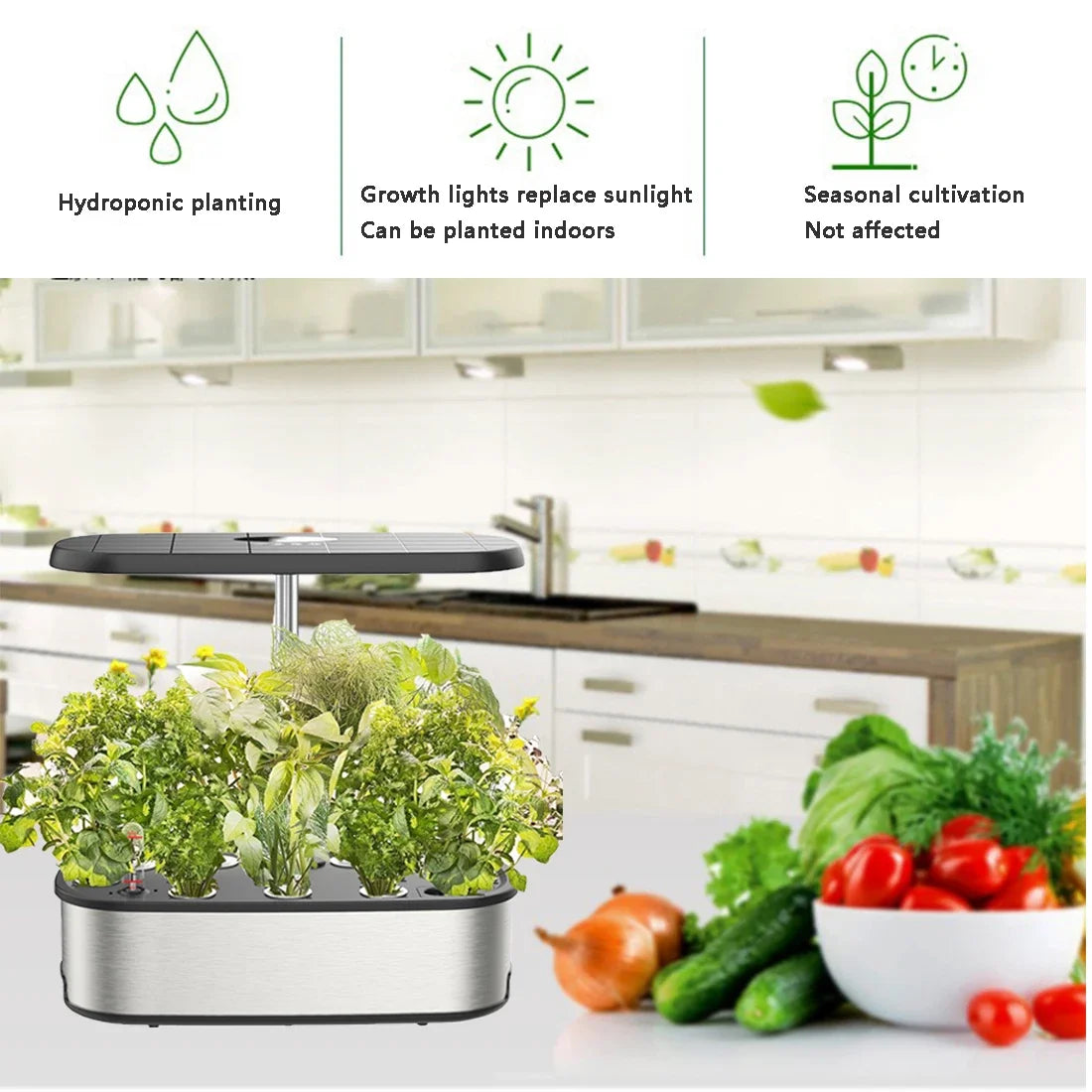 12 Pods Hydroponics Growing System Kits
