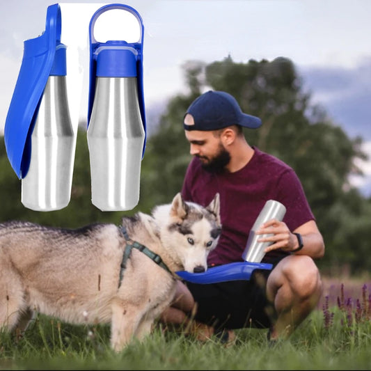 Dog Stainless Steel Water Bottle