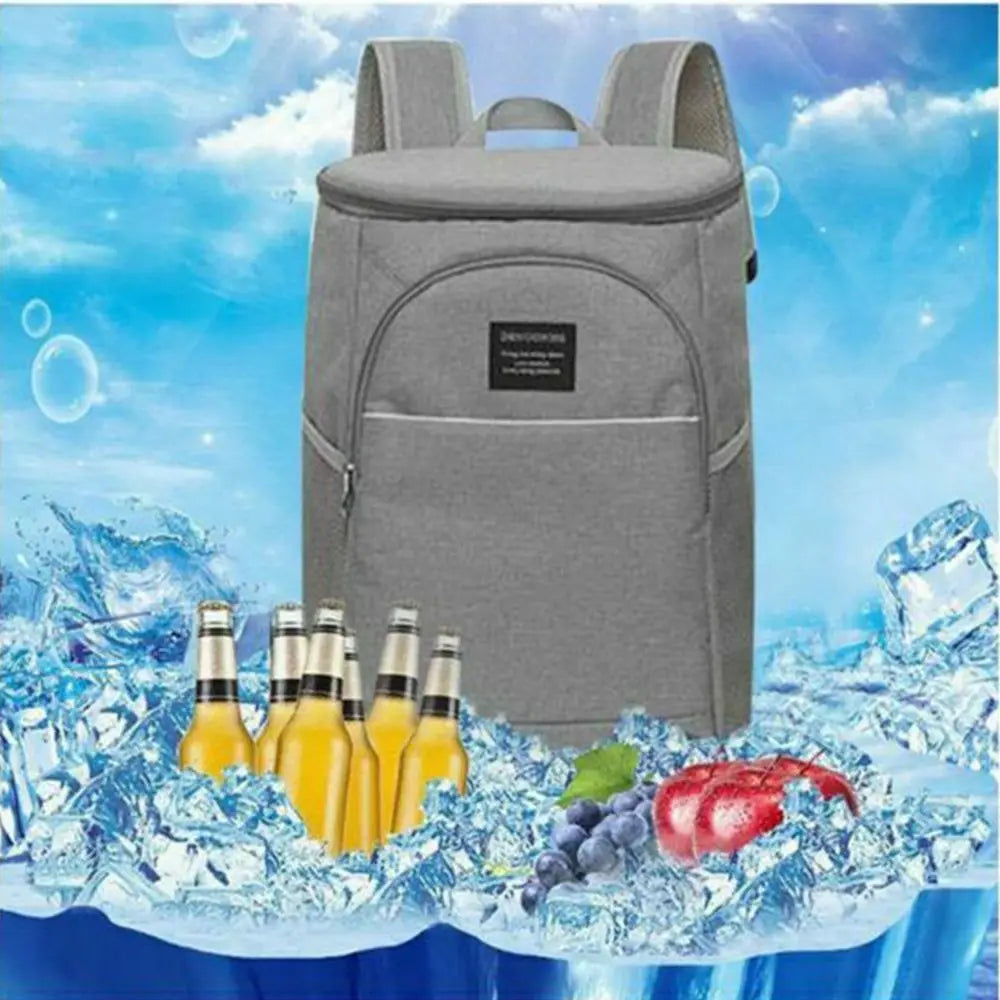 20L Waterproof Thermal Picnic Backpack